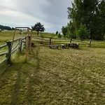 Miedzy Jeziorami * Ogonki