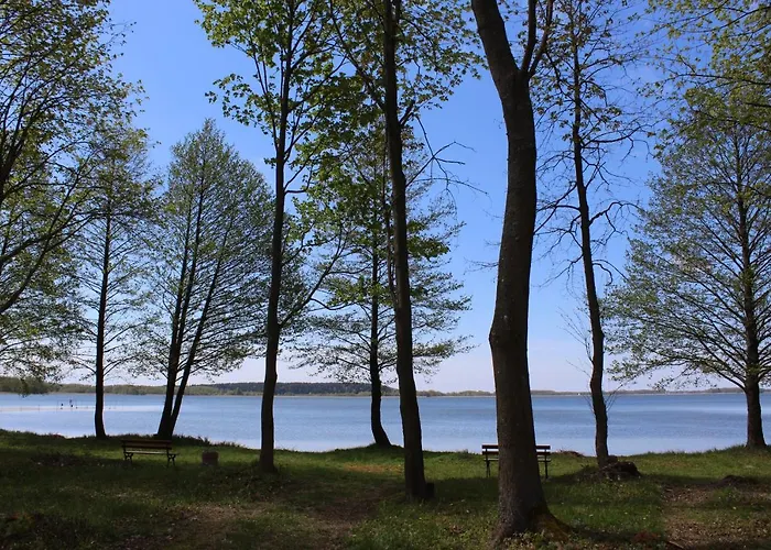 Apartment Miedzy Jeziorami